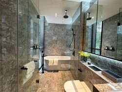 Jervois Privé (D10), Apartment #410899481